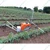 NIYO 24 Liter Battery Operated Trolley Sprayer For Agriculture